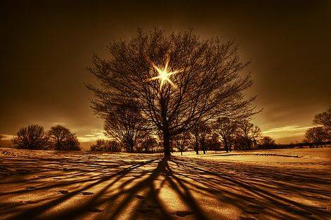 zivot_image002